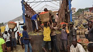 Nigeria: Dangote's tomato facility to tackle poverty, unemployment