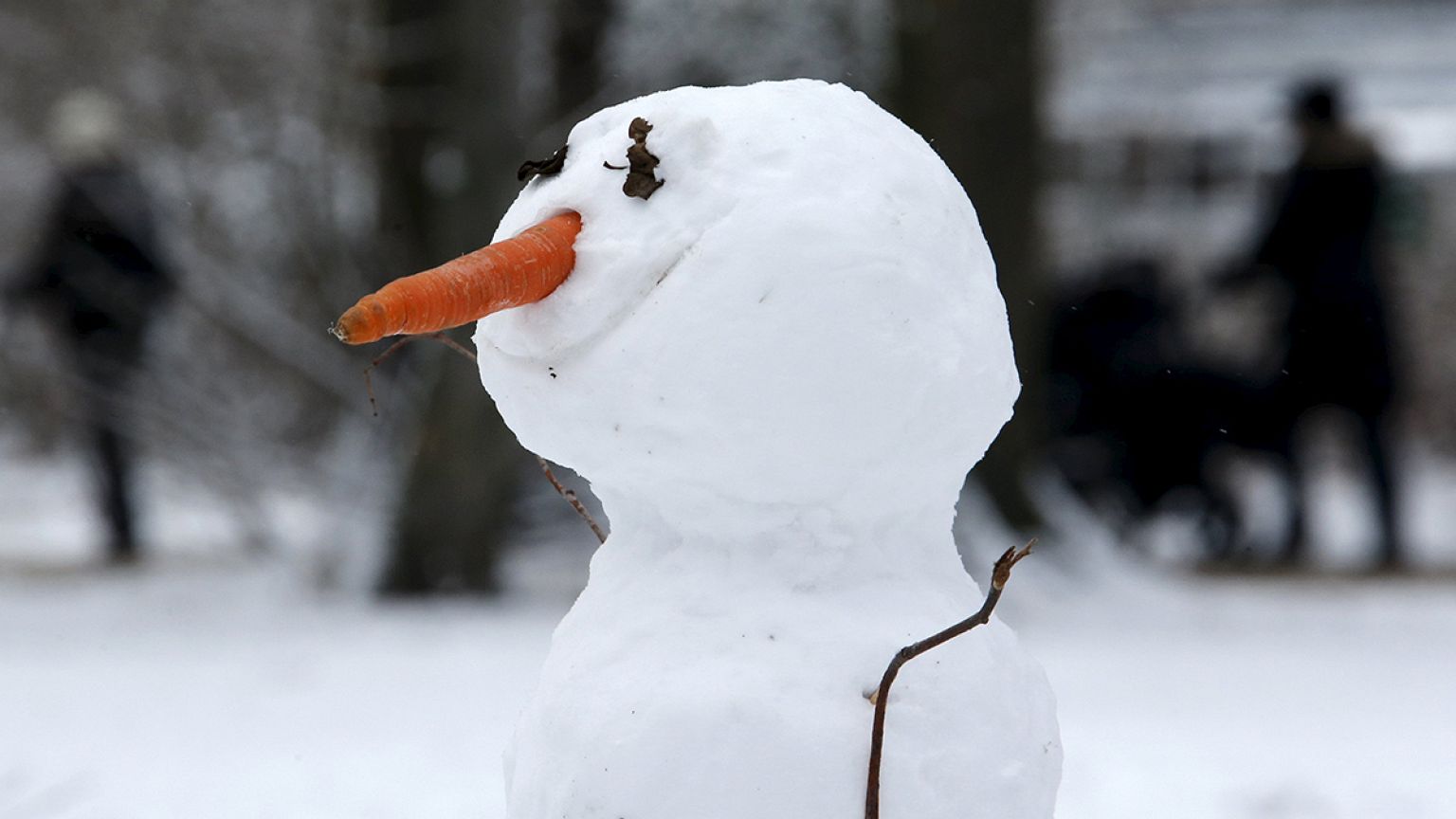 Nichts macht Mensch und Hund so glücklich wie Schnee