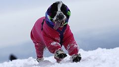 Your winter pictures