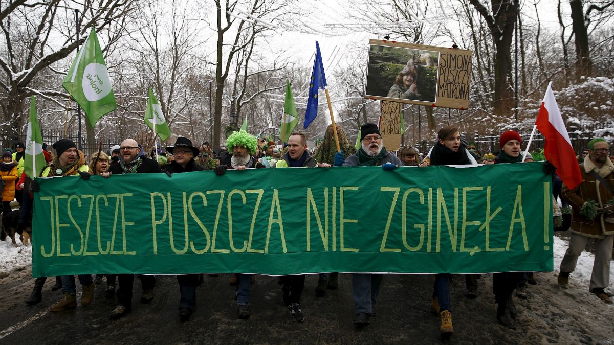 Protesta en Varsovia contra la tala de 400.000 árboles
