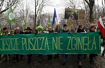 اعتراض به تصمیم لهستان برای قطع صدها هزار درخت جنگلی