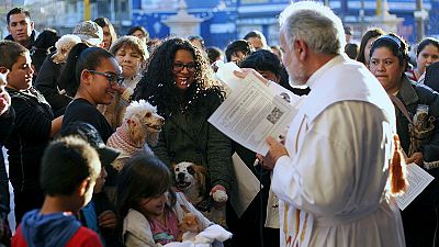 Mexicο: Pets are splashed with holy water