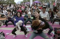 'Doga' world record set in Hong Kong