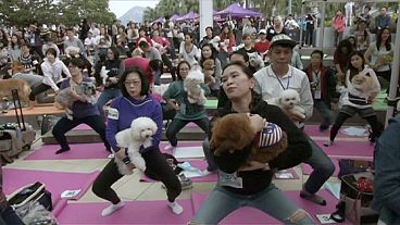 Hong Kong'ta köpekli yoga rekoru