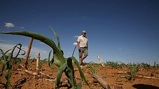 Afrique du Sud : solidarité face à la sécheresse