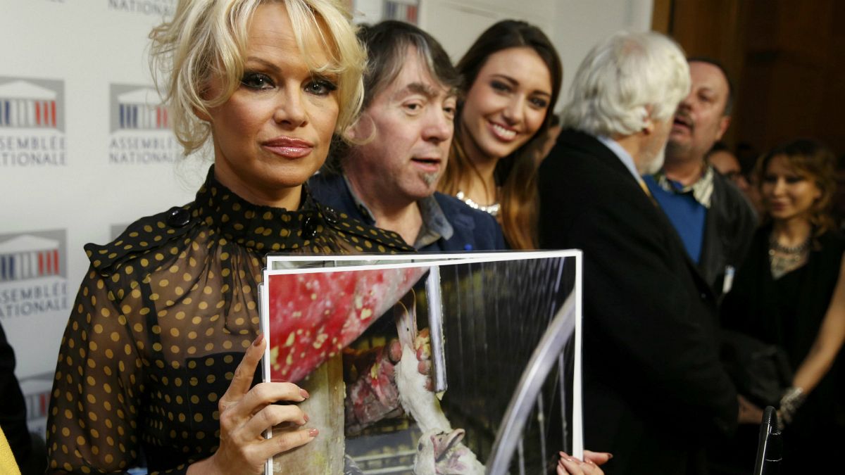 Pamela Anderson plaide au Parlement contre le gavage des oies