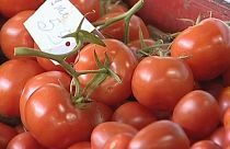 Ukraine beefs up sanctions against Russian products