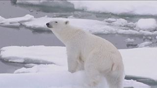 2015, l'anno più caldo di sempre