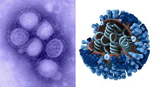 فراگیری آنفلوانزای خوکی در ایران و اروپای شرقی
