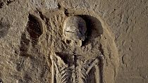 Kenya : des squelettes aux marques mortelles vieux de 10.000 ans