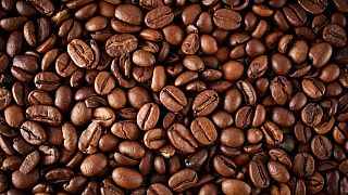 L'Ouganda promeut la culture du café
