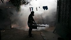 Zika-Virus: Reisewarnung für Schwangere