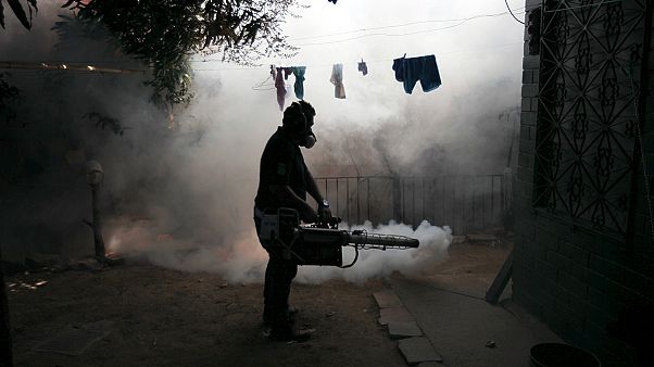 Virus Zika: 22 Paesi in America Latina e Caraibi da evitare per le donne incinte Virus Zika: 22 Paesi in America Latina e Caraibi da evitare per le donne incinte