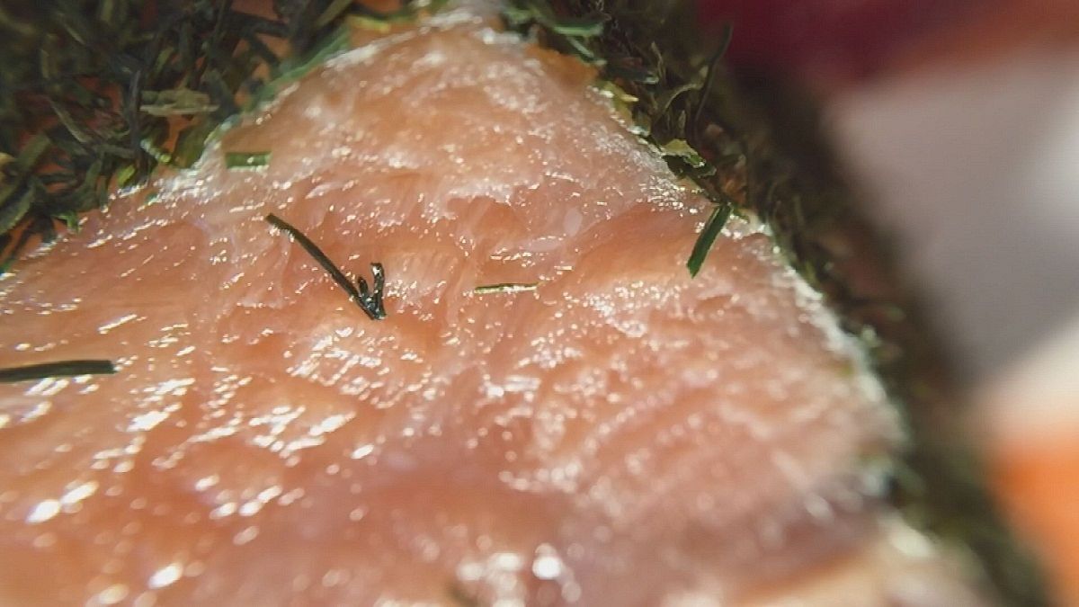 O salmão marinado em bactérias