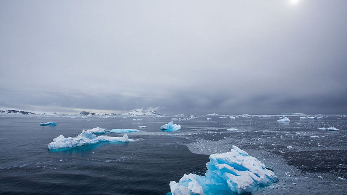 Britischer Südpol-Abenteurer an Reisestrapazen gestorben