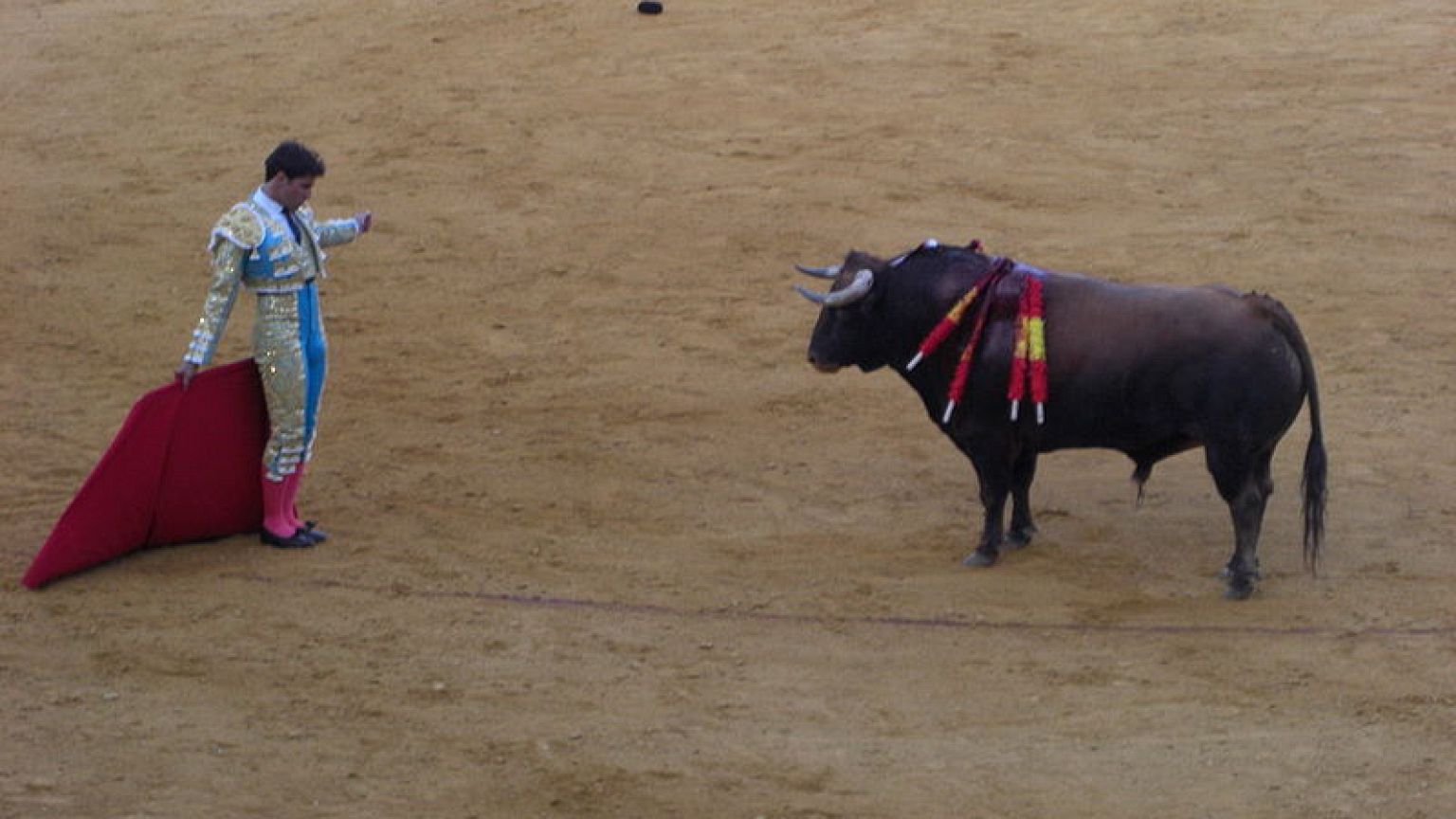 Torero kämpft mit kleiner Tochter auf dem Arm - Empörung
