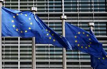 EU auditors slam 'weak' Commission over bailouts