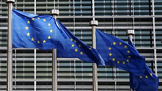 EU auditors slam 'weak' Commission over bailouts