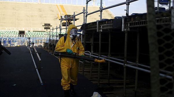 Brasile, Oms teme legame tra virus Zika e microcefalia ma pochi i casi finora accertati Brasile, Oms teme legame tra virus Zika e microcefalia ma pochi i casi finora accertati