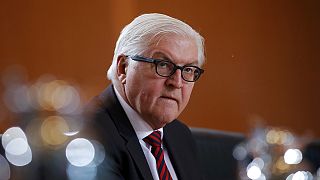 Fall Lisa aus Berlin: Steinmeier wirft Lawrow "politische Propaganda" vor