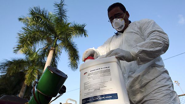 Virus zika. Allerta molto alta. Almeno 3-4 milioni di casi previsti. C'è forte probabilità di un legame con la microcefalia Virus zika. Allerta molto alta. Almeno 3-4 milioni di casi previsti. C'è forte probabilità di un legame con la microcefalia