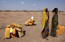 هشدار سازمان ملل نسبت به تبعات خشکسالی در اتیوپی