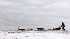 Tschechien: Schlittenhunderennen leidet unter Schneemangel