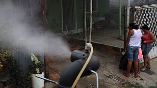 La Colombie en 'guerre' contre le virus Zika