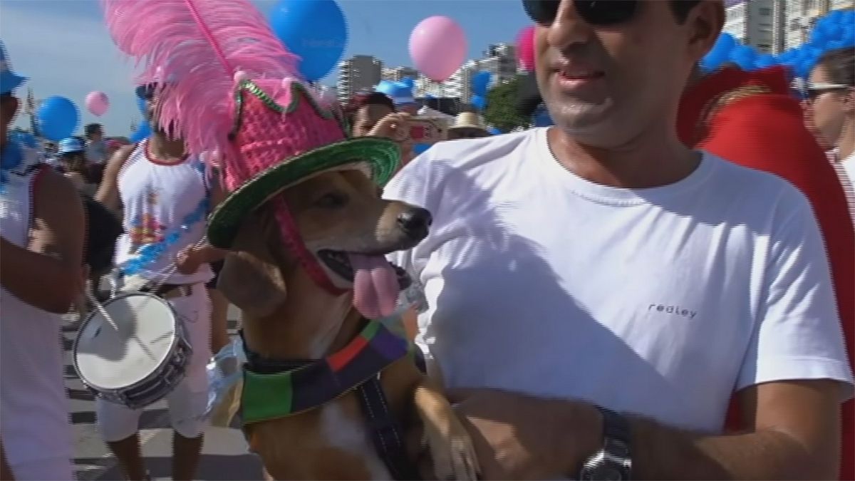 رژه حیوانات خانگی با لباس های فانتزی