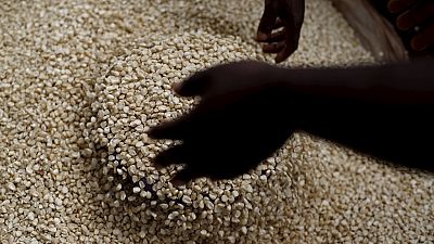 South Africa: Grain SA lowers 2016 imports estimates