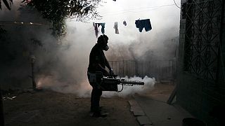 WHO concerned over Zika sexual transmission reports