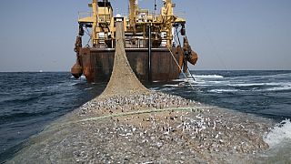 Mauritania moves to stop overfishing
