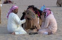 Camel Trek: In the Footsteps of our Ancestors