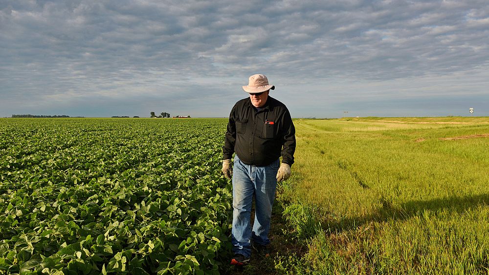 Administration to offer billions in aid to farmers hurt by Trump's trade war