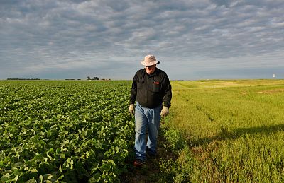 Farmer William Hejl checks one of his soybean fields in Amenia, North Dakota, on July 6, 2018.