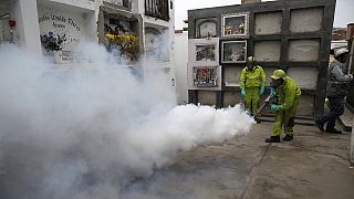 Virus Zika: 3 morti in Colombia, Onu chiede di tollerare contraccezione e aborto