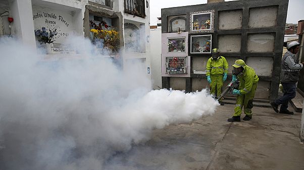 Virus Zika: 3 morti in Colombia, Onu chiede di tollerare contraccezione e aborto Virus Zika: 3 morti in Colombia, Onu chiede di tollerare contraccezione e aborto