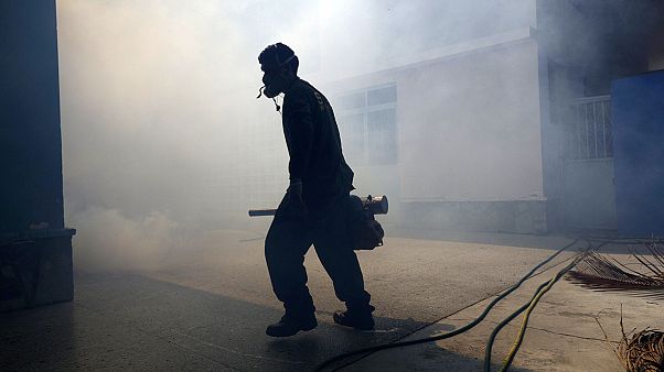 A la pointe du combat contre Zika en Amérique du Sud A la pointe du combat contre Zika en Amérique du Sud