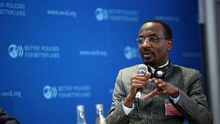 Nigeria : l'ancien patron de la Banque centrale critique la politique monétaire du président Buhari