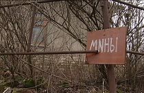 Syze ou l'illustration du problème des mines anti-personnelles en Ukraine