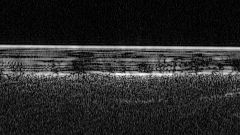 A lake on Mars? Discovery of liquid water below planet's surface stokes hopes of finding life