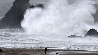 Storm Imogen wreaks havoc across Europe