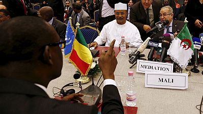 Mali: disarmament key to peace process
