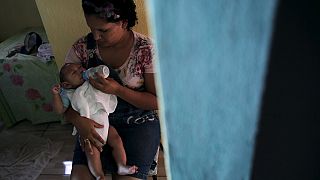 Headway made in Zika cause findings