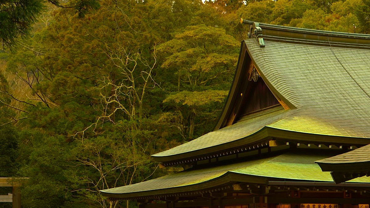 A walk around the ‘spiritual home’ of the Japanese