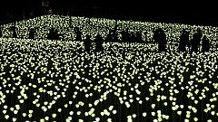 Lichtermeer in Hongkong