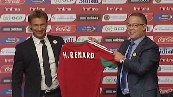 Újra Afrikában a sikeredző Újra Afrikában a sikeredző