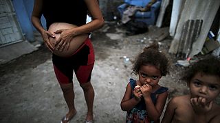 Mexique : six cas de virus Zika confirmés chez des femmes enceintes