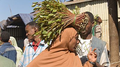 Madagascar flirts with food crisis as Khat fields replace staple crops