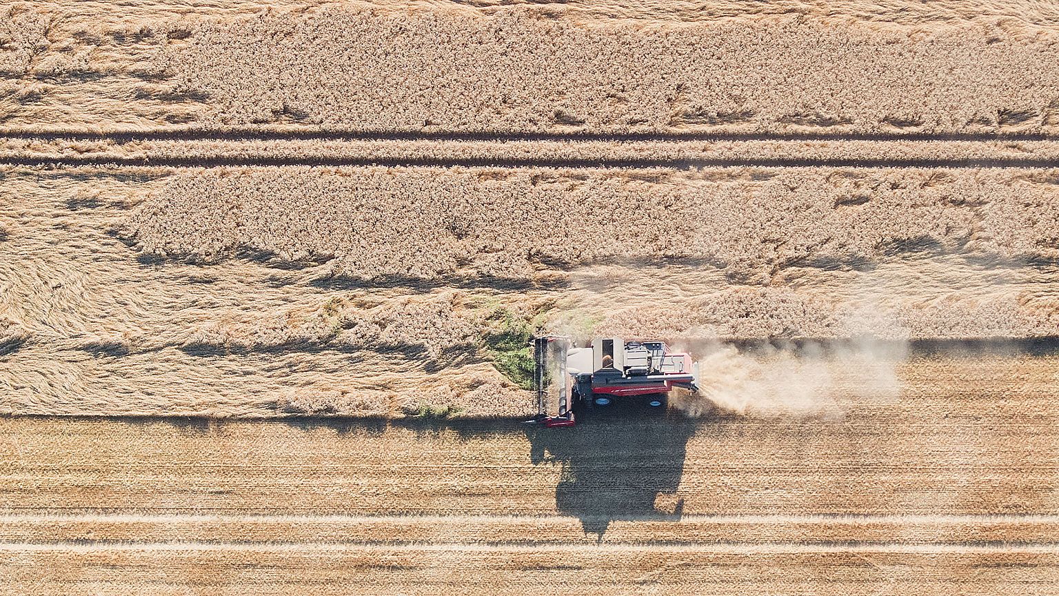 Image: Europe drought